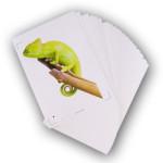 50 feuilles A4 adhésive de vinyle blanc pour imprimante jet d'encre