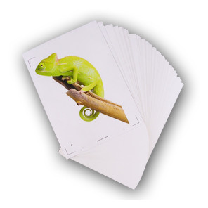 50 hojas A4 de vinilo blanco adhesivo para impresoras de inyección de tinta